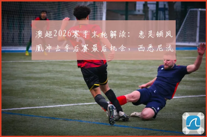 澳超2026赛季末轮解读：惠灵顿凤凰冲击季后赛最后机会，西悉尼流浪者全力避免垫底命运