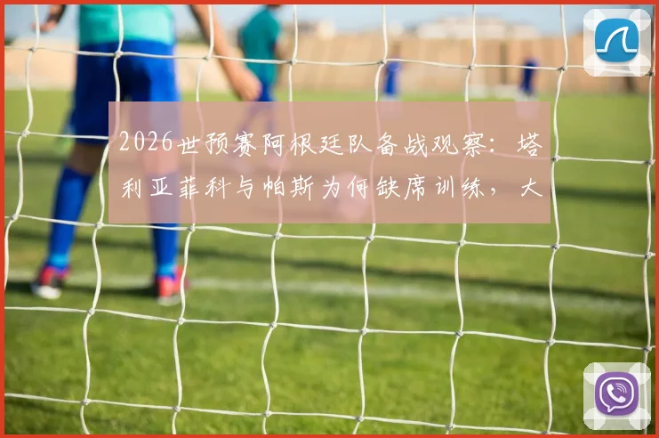 2026世预赛阿根廷队备战观察：塔利亚菲科与帕斯为何缺席训练，大马丁拆除石膏伤情更新